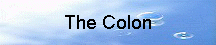 The Colon